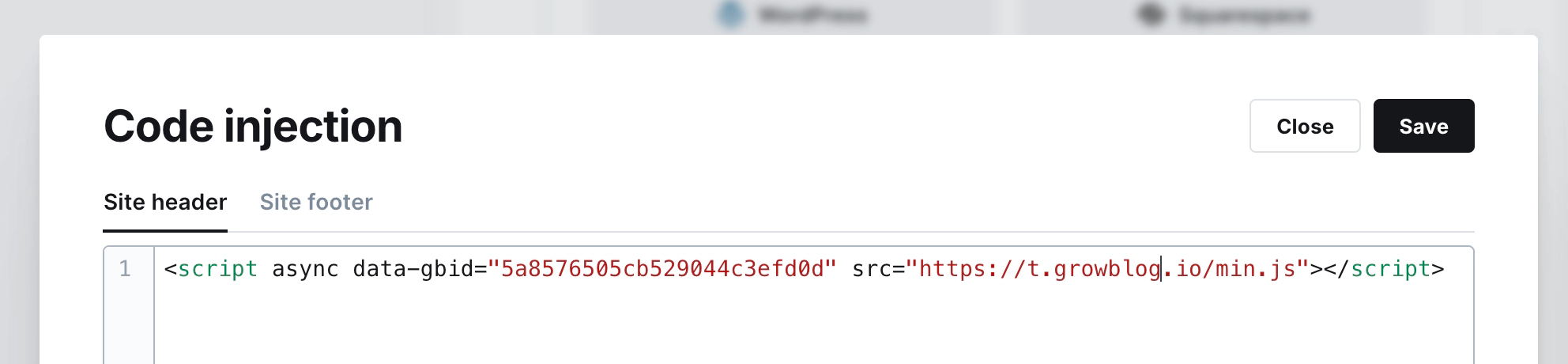 Code Injection editor with the Growblog snippet pasted